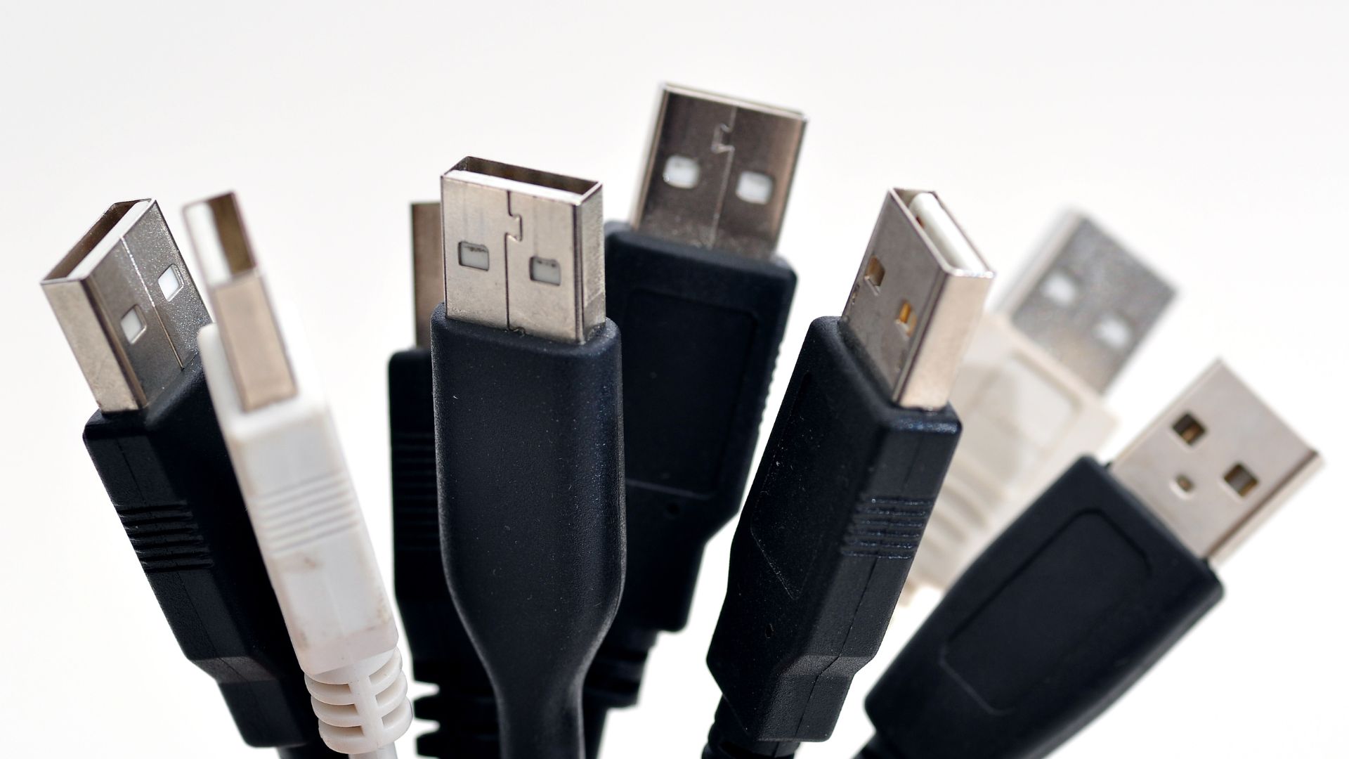 Różne rodzaje USB przedstawione na końcówkach przewodów na białym tle.