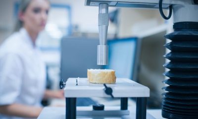 Czym zajmuje się technologia żywności? Na zdjęciu chleb w laboratorium.